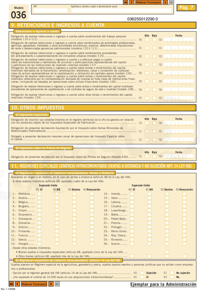 Cómo Rellenar El Modelo 036 Paso A Paso Tugesto 1192