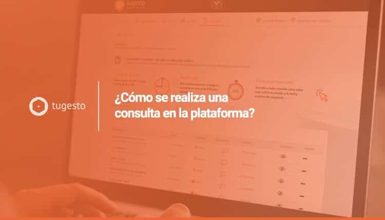 Te enseñamos a realizar una consulta a tu asesor experto