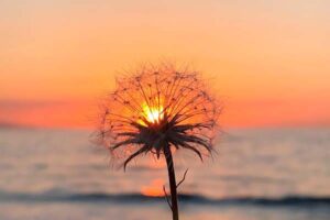 En este post queremos dar visibilidad y contar la discriminación que sufren algunas personas transexuales en el ámbito laboral