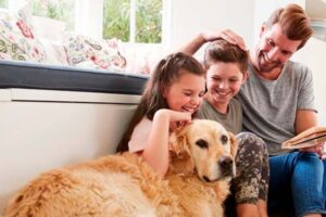 Te contamos todo sobre el IMV, desde lo que es a los requisitos, cómo y cuando cobrarlo, y mucho más